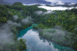 West Papua, Kaimana, Triton Bay 2026 (15/41)